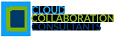 Cloud Collaboration Consultants